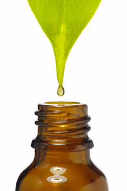 Fotolia_63809167_XS.jpg