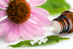 Homöopathie Renate Krause Puchheim München