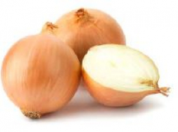 Küchenzwiebel